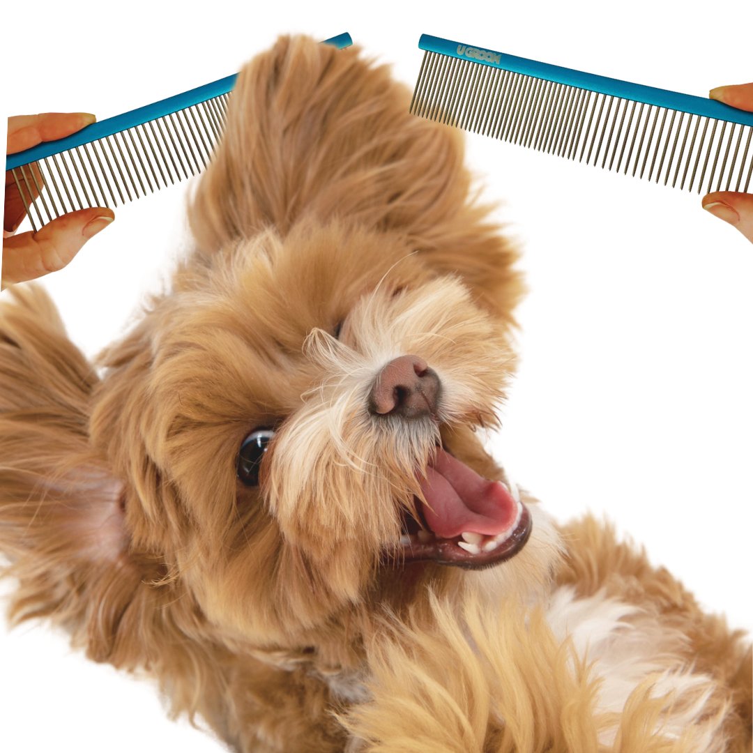 comb with puppy.svg