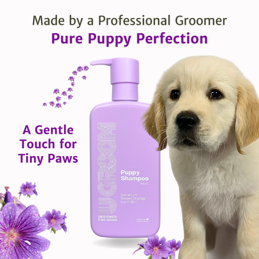 Puppy Duo - U GROOM