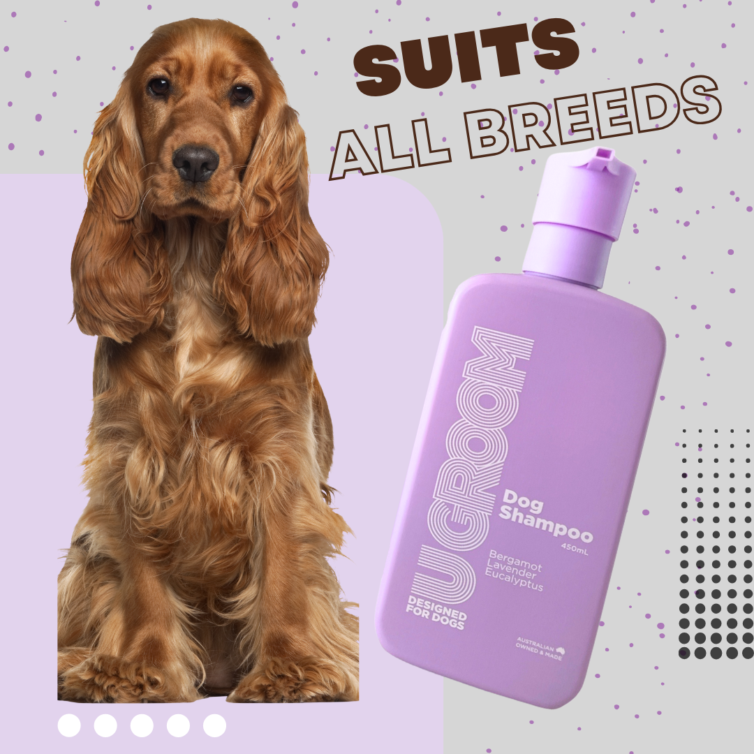 Dog Grooming Best Sellers