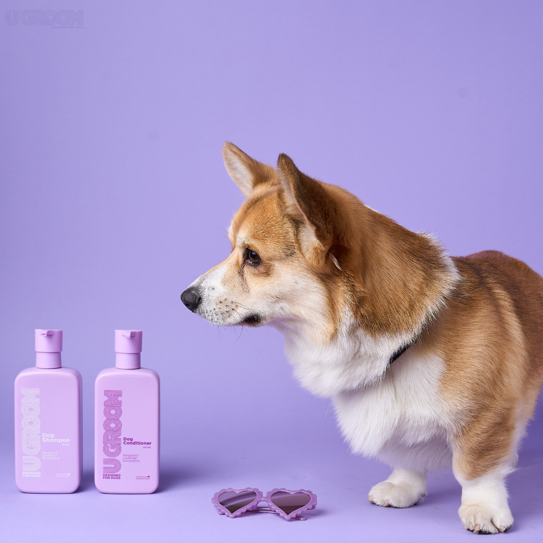 U Groom Shampoo & Conditioner Duo