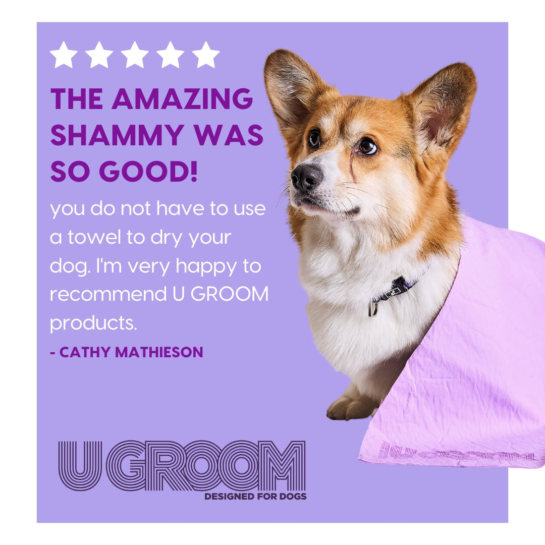 U Groom Dog Drying Towel - U GROOM