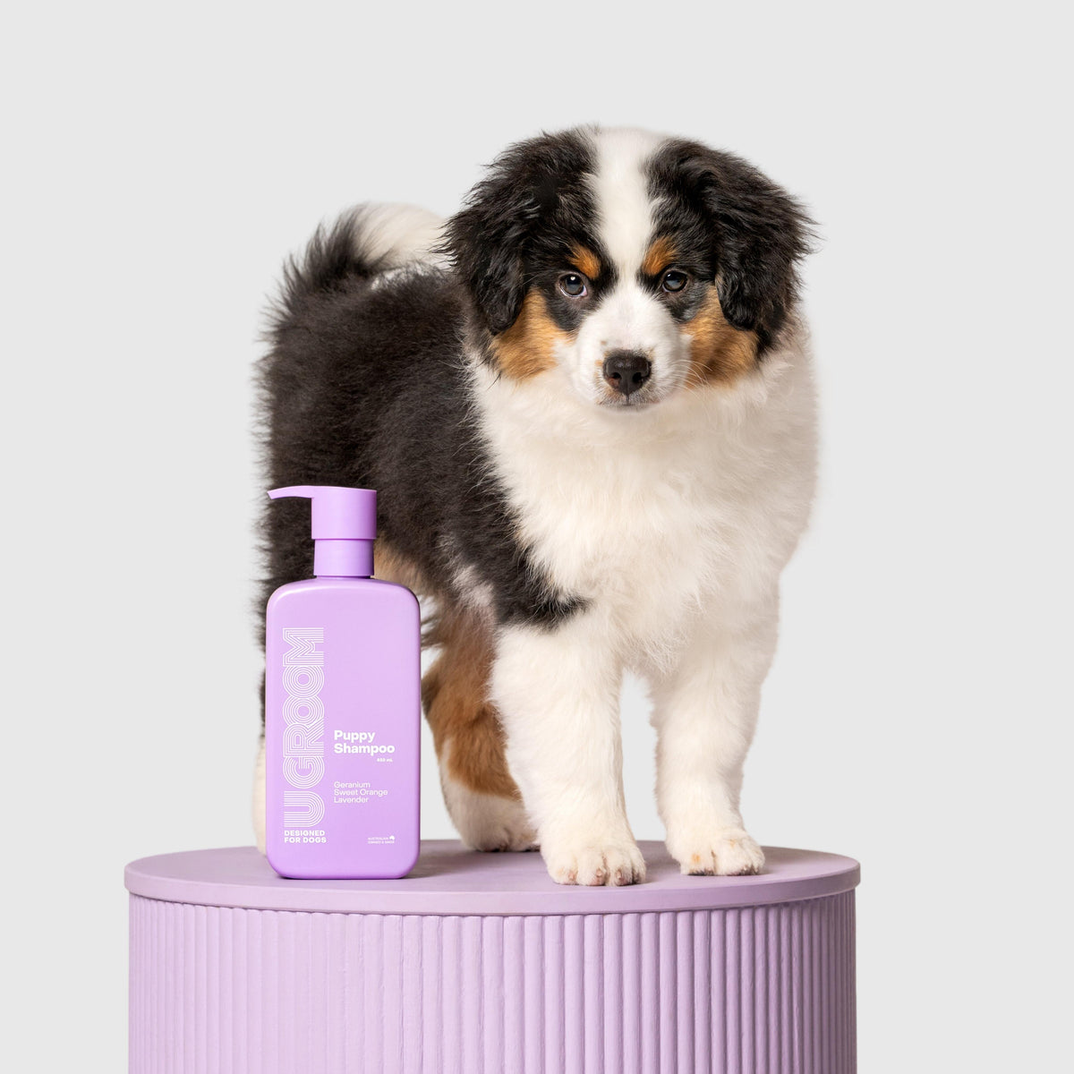 U Groom Puppy Shampoo