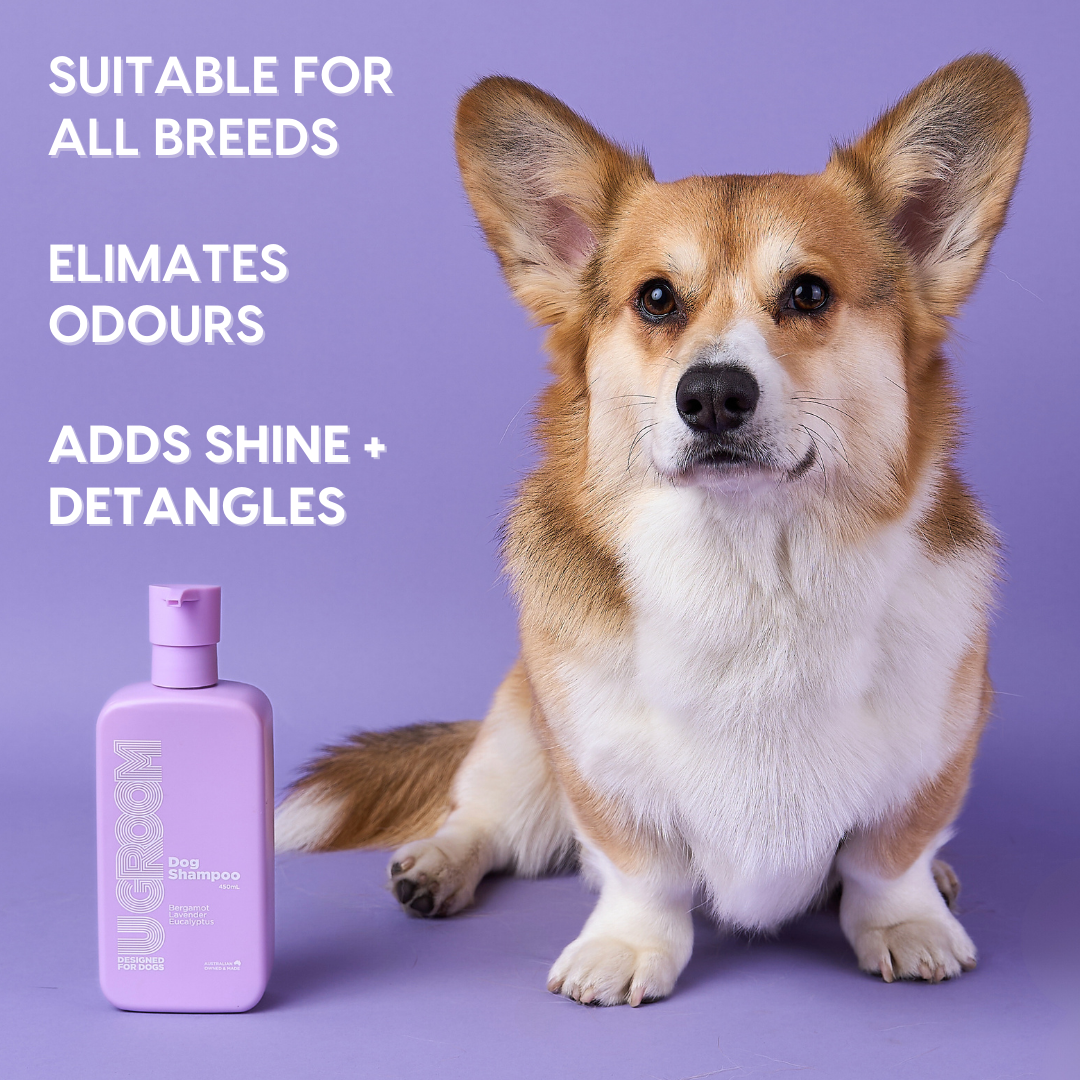 U Groom Dog Wash Day Bundle - U GROOM