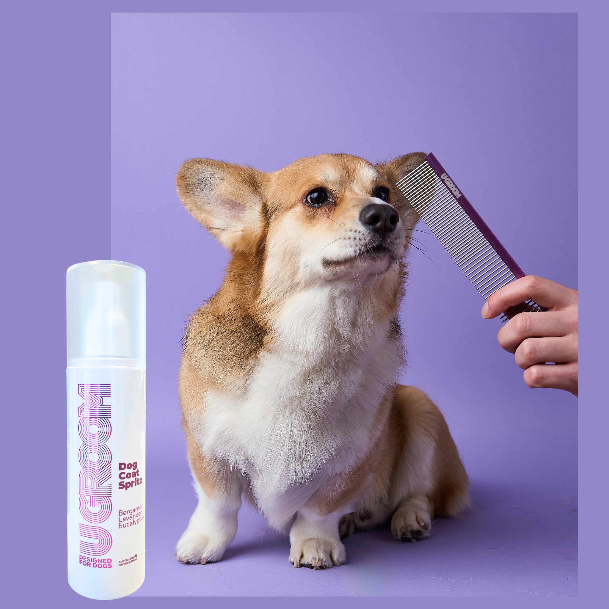 Spritz & Style Bundle