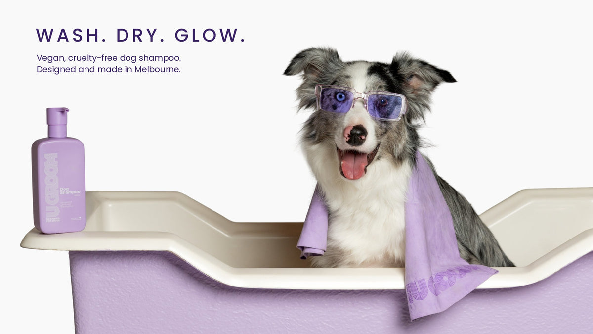 U GROOM Dog Shampoo bottle beside a happy blue merle border collie in purple sunglasses, sitting in a lavender grooming bath with a lavender U GROOM towel over its shoulder. Text reads: Wash. Dry. Glow. Vegan, cruelty-free dog shampoo. Designed and made in Melbourne.