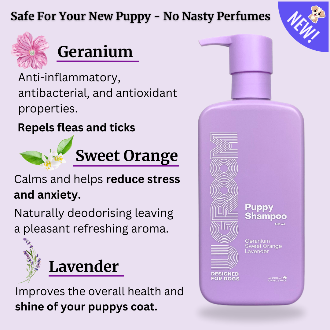 New Puppy Pack - U GROOM