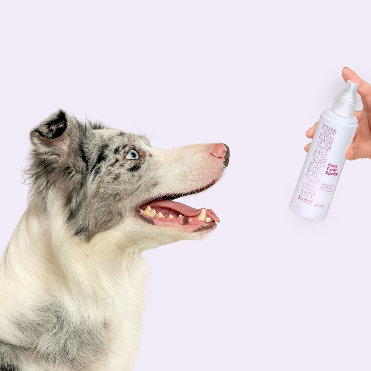 Wash & Refresh Dog Grooming Bundle. - U GROOM